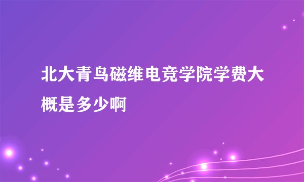 北大青鸟磁维电竞学院学费大概是多少啊