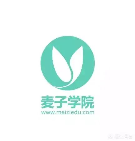 编程教程菜鸟自学网