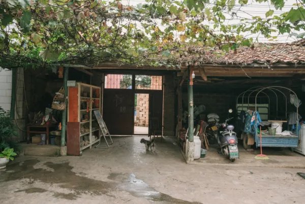 云南普者黑拍摄《爸爸去哪儿》的那些房屋,现在变成什么样了呢?