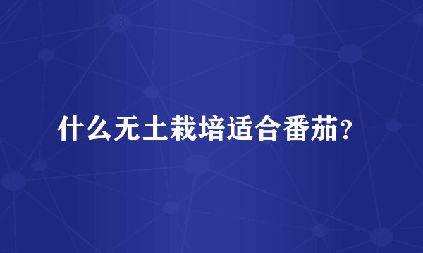 什么无土栽培适合番茄？
