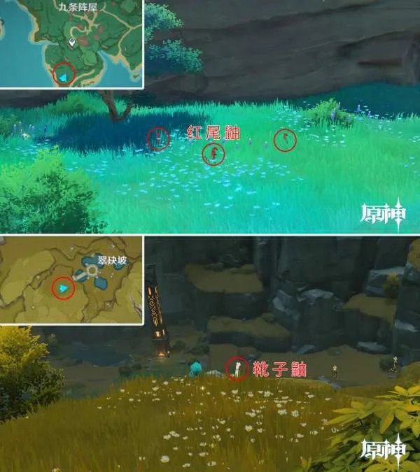 原神四方八方之网可捕捉动物在哪