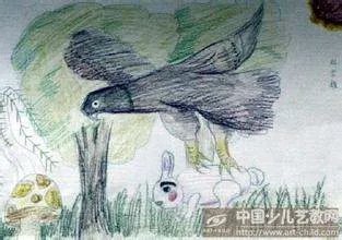 图片老鹰 抓 兔子的图片