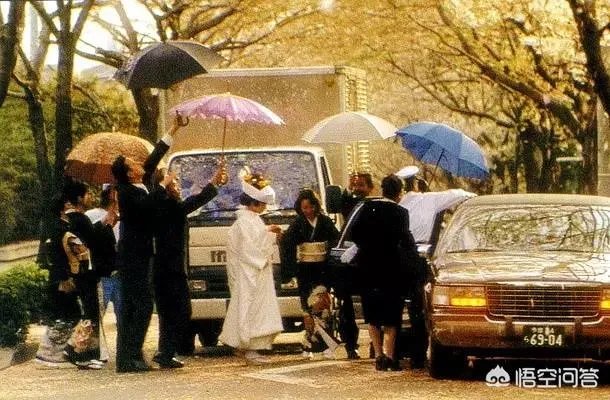 四月物语专业影评分析