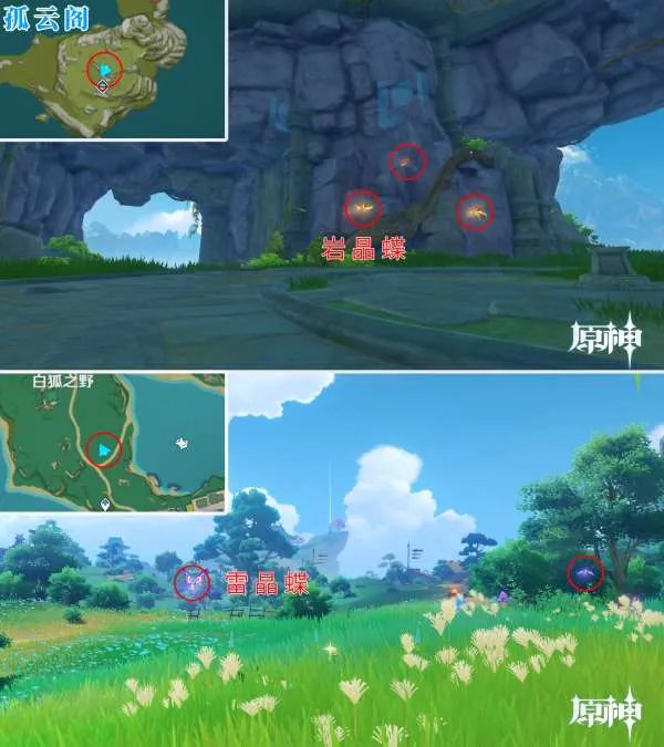 原神四方八方之网可捕捉动物在哪