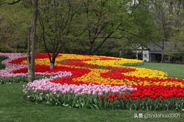 上海奉贤区东端这个镇