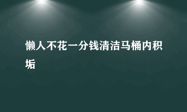 懒人不花一分钱清洁马桶内积垢