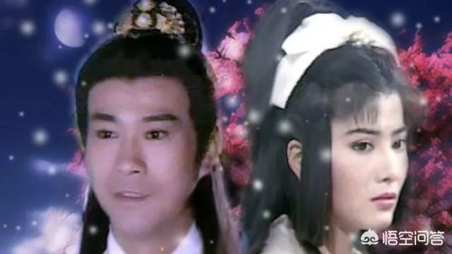 48岁功夫女星杨丽菁为何沦落成无戏可拍?