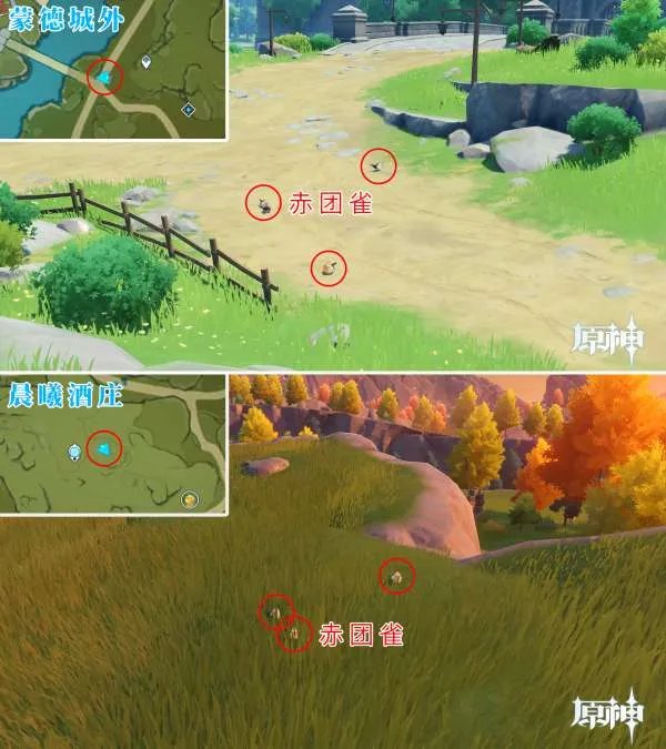 原神四方八方之网可捕捉动物在哪