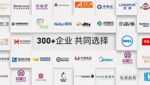 企业品牌策划公司可以做什么？