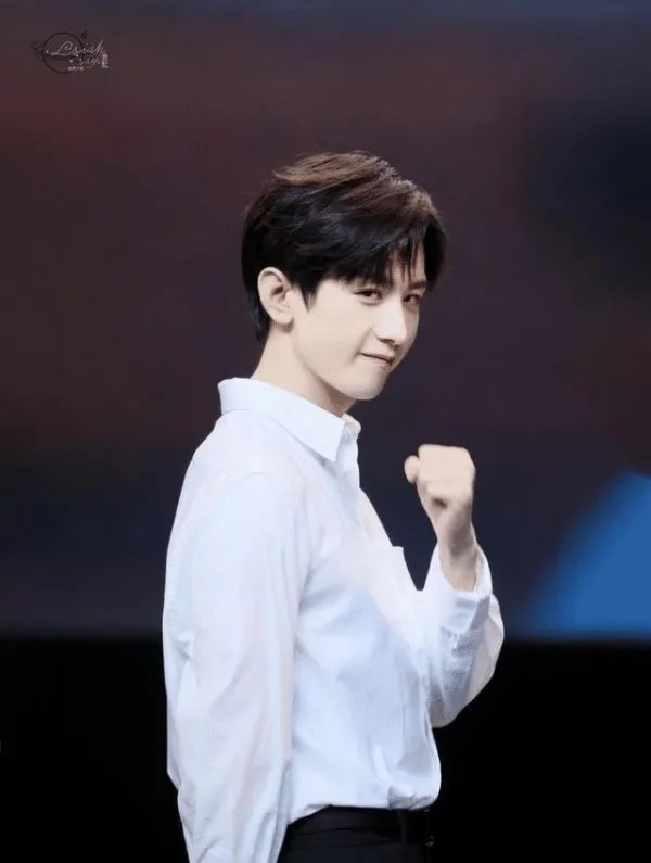 成毅到底是怎么了?为啥掉了数万粉,还没骂上了热搜?