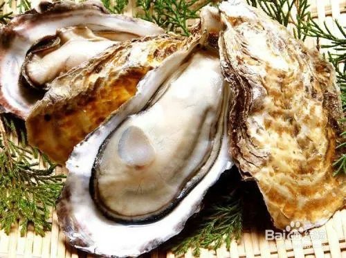 白金牡蛎服用方法