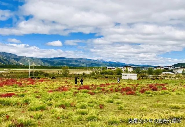 过年去云南旅游，合适吗？