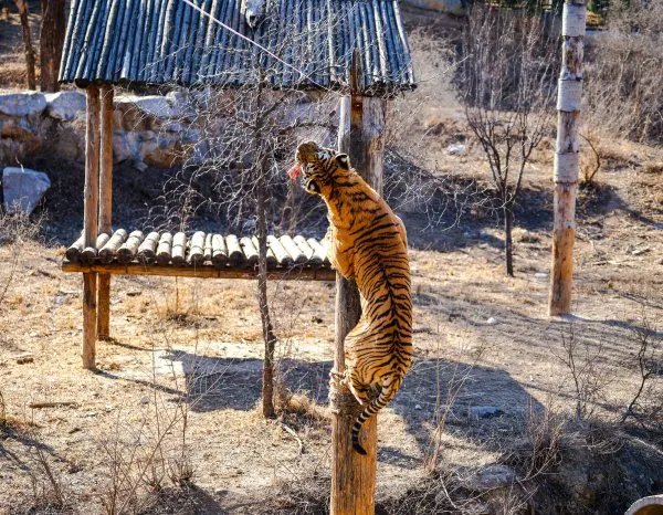 济南亲子游好都有哪些好去处？