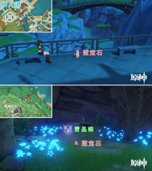 原神四方八方之网可捕捉动物在哪