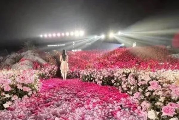 杭州一男子花费近30万摆花海求婚，你见过最豪华的求婚是什么？