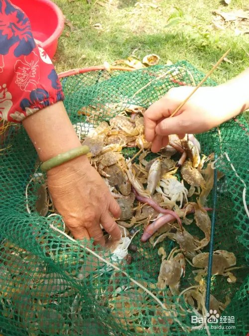 珠海淇澳岛好玩吗