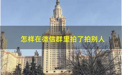 怎样在微信群里拍了拍别人