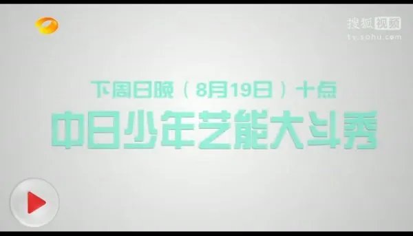 向上吧 少年日本踢馆队队员有哪些？领队是谁啊。