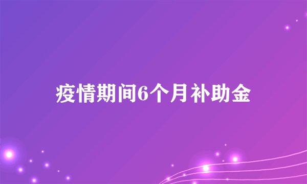 疫情期间6个月补助金