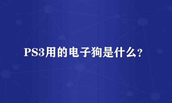 PS3用的电子狗是什么？