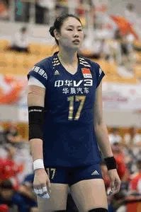中国女排全部人员照片