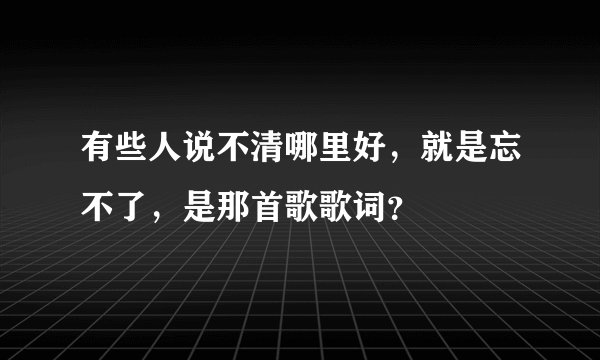 有些人说不清哪里好，就是忘不了，是那首歌歌词？