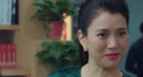 电视剧盛装人物简介