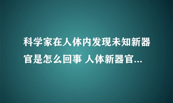 科学家在人体内发现未知新器官是怎么回事 人体新器官是什么部位