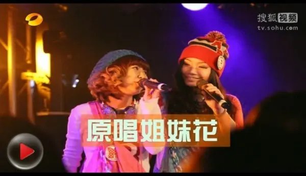 向上吧 少年日本踢馆队队员有哪些？领队是谁啊。