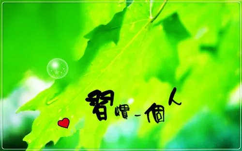 不可饶恕的背叛者楚月潼轩辕暝 不可饶恕的背叛者全文阅读