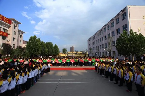 山西一小学强制学生买保险的做法合理吗?