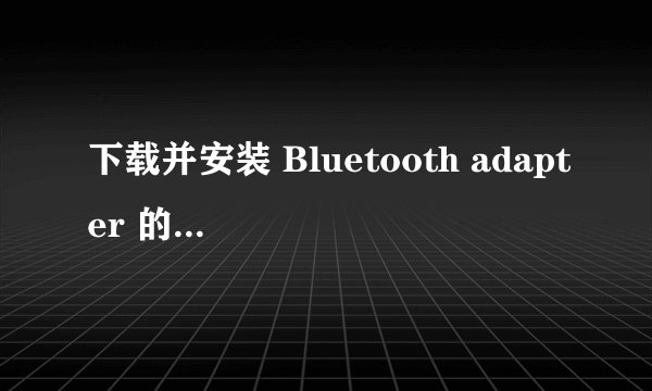 下载并安装 Bluetooth adapter 的驱动程序