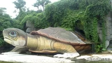 1965年黄河巨鳖事件是不是真实的？有何依据？