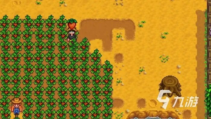 星露谷物语13天种的草莓几号收 草莓种植技巧一览