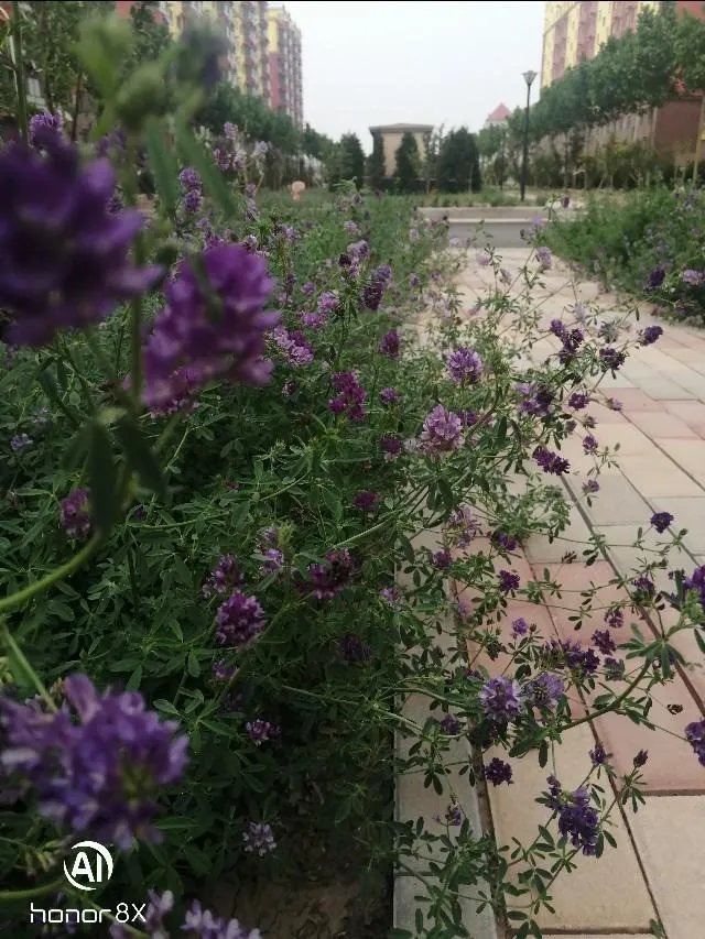 何猷君何超莲互相取关，为何遭疑正式“开撕”，你怎么看此事？