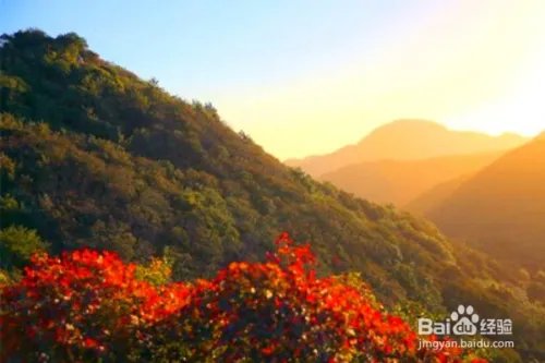 鄢陵旅游景点大全