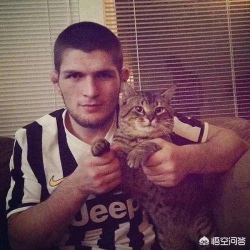 ufc中，小鹰的优点是什么？