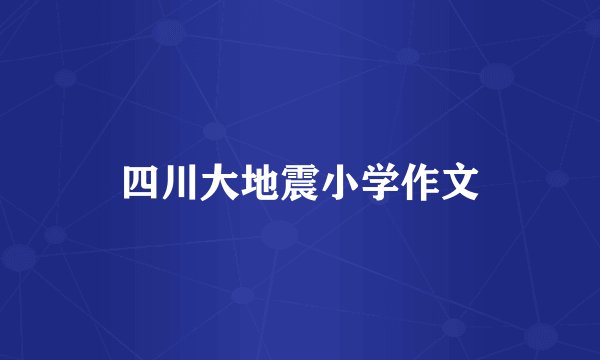 四川大地震小学作文