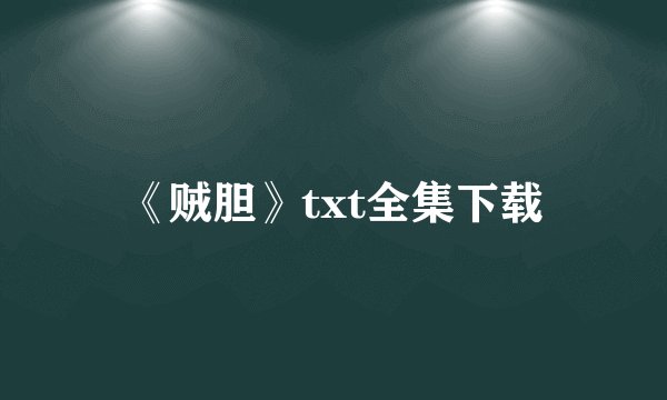 《贼胆》txt全集下载