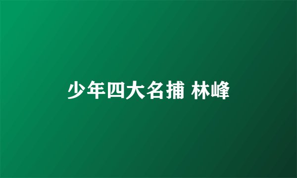 少年四大名捕 林峰