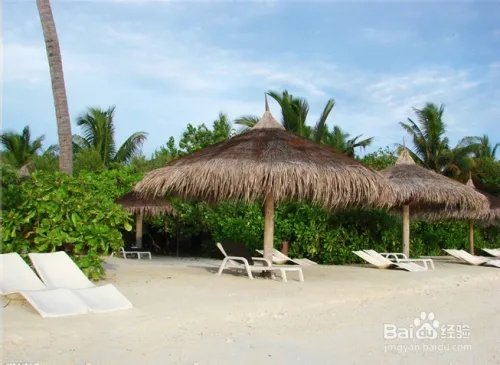 马尔代夫蜜月游攻略