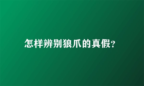 怎样辨别狼爪的真假？