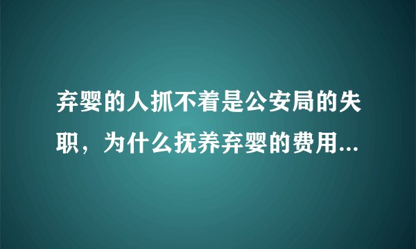 弃婴的人抓不着是公安局的失职，为什么抚养弃婴的费用却由医院承担？
