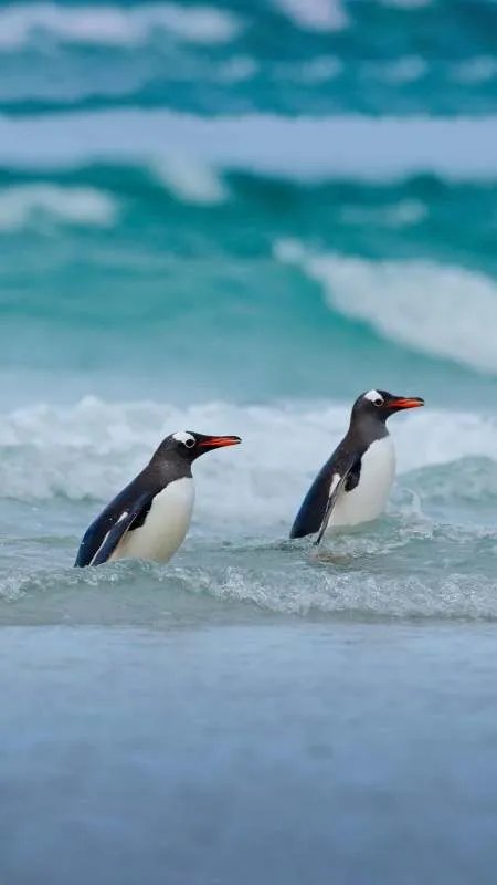 和老婆吵架了闹离婚 老婆说从此是死也好是活也罢跟她没有关系我该怎么办？