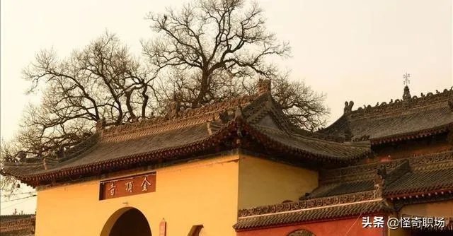 曾经的高考状元，如今都过得怎么样？