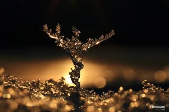 佳能摄影大赛--用初心，去摄影