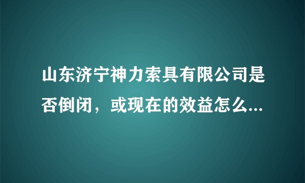 山东济宁神力索具有限公司是否倒闭，或现在的效益怎么样，金融危机对这个公司影响怎么样。