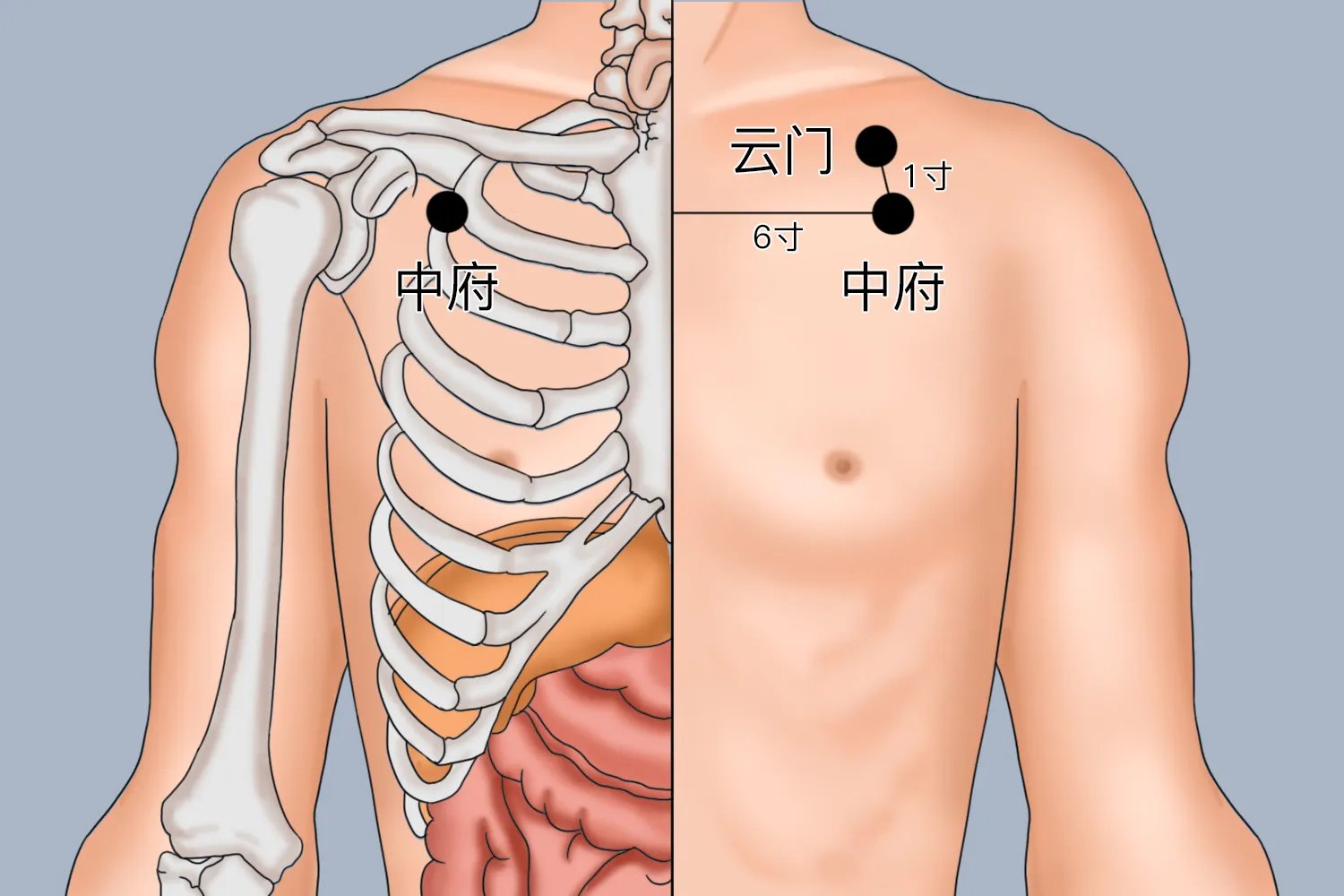 云门中府的准确位置图和功效