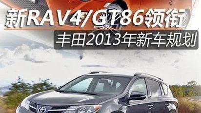 丰田爱丽的简介