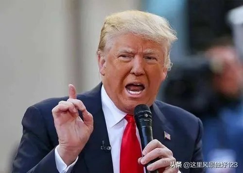 特朗普应该是2020年度最红吧？